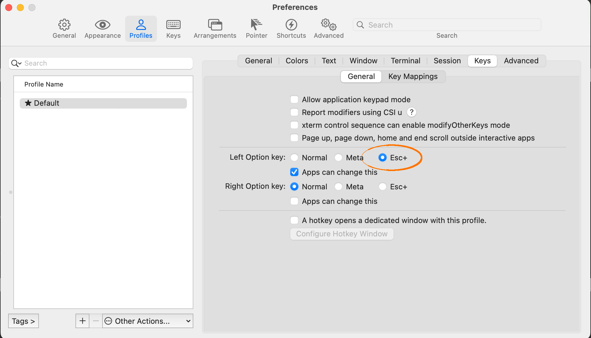 iTerm2 Alt key configuration